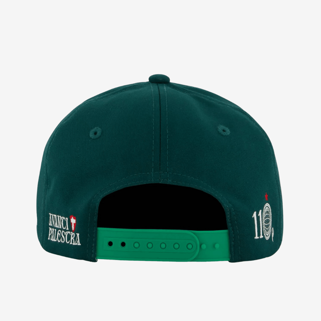 Boné Palmeiras Edição 110 Anos - Verde